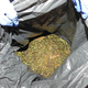 V hišni preiskavi v okolici Kanala našli drogo