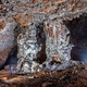 Ob 120. obletnici odkritja vabijo na ogled jame Dimnice