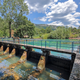 Še vedno neučinkoviti pri reševanju dolgotrajne vodooskrbe na območju slovenske Istre