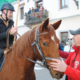 V Vipavi tudi letos blagoslovili konje