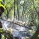 Zagorelo na težko dostopnem terenu nad Palčjem