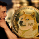 Elon Musk zapušča DOGE - Kaj to pomeni za Dogecoin in trg kriptovalut?