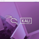 Hekerski operacijski sistem Kali Linux 2026.1 z bogato paleto novih orodij