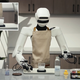 Enotni AI "možgani" za prihodnost robotike