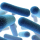 Odpornost bakterij na antibiotike odgovorna za več smrti kot Aids in malarija!