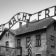 27. januarja 1945 je rdeča armada osvobodila taborišče Auschwitz-Birkenau