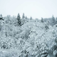 Največ snega v višinah