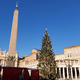 Papež Frančišek je sprejel slovensko delegacijo in božično drevo