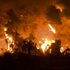 V Siriji usmrtili 24 ljudi, obsojenih namerne povzročitve gozdnih požarov lani