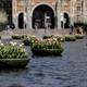 Amsterdamski festival tulipanov z več cvetic in manj ljudi