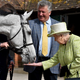 Karel prodaja konje, veliko strast Elizabete II.: "Kraljeva kobilarna bo v treh letih postala muzej"