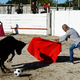 Umetnost ali mučenje? V Franciji burna razprava o prepovedi bikoborb.