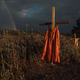 Nagrada World Press Photo posnetku križev z oblekami v spomin na umrle staroselske otroke