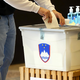 Stranka ZLS opozarja na neveljavnost državnozborskih volitev