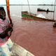 Senegalsko jezero izgublja rožnato barvo, s tem pa tudi turiste in dragoceno sol