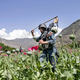 Po talibanski prepovedi drastičen upad pridelave opija v Afganistanu