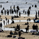 Nizozemska otroke opozarja, naj ne požirajo potencialno toksične morske pene
