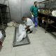 Euro-Med: Izraelski vojaki kradejo organe iz trupel v Gazi