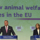 Bruselj predlaga nova pravila za dobrobit živali, tudi za vzrejo psov in mačk