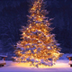 Arsov božični dan z glasbo iz baleta Hrestač, filmskih božičnih klasik in mnogimi drugimi melodijami