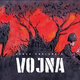 Strip o osamosvojitveni vojni v Sloveniji skozi oči vojaškega obveznika JLA