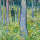 Van Goghovi zadnji dnevi: Kaj je ustvaril slikar v enem svojih neproduktivnejših obdobij