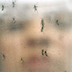 V slovenski Istri preventivna akcija zatiranja ličink tigrastih komarjev