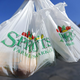 Okoljevarstveniki na Hrvaškem zahtevajo ukrepe proti plastičnim vrečkam za enkratno uporabo