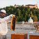 O čebelah in ljudeh: v Berlinu brenči po slovensko