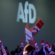 Nemška skrajno desna stranka Alternativa za Nemčijo ima rekordno visoko podporo