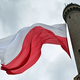 Poljska vlada pod pritiskom zaradi pospešenega izdajanja delovnih vizumov v zameno za denar
