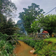 V malezijski džungli, med staroselci, ki se počasi odpirajo turizmu