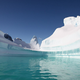 Led na Antarktiki dosegel najnižjo raven maksimalnega obsega