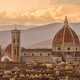 Direktorica galerije razburila z izjavo, da je množični turizem Firence spremenil v "prostitutko"