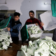 Visoki pakistanski uradnik priznal prirejanje volilnih izidov