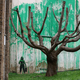 V Londonu "vzklilo" Banksyjevo drevo z okoljevarstvenim sporočilom