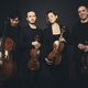 Izjemni godalni kvartet Ébène nocoj prvič v Sloveniji