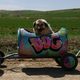 V Turčiji poseben vlakec invalidne pse v zavetišču pelje na pustolovščino