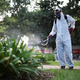 V Argentini pred najhujšim izbruhom denge primanjkuje sredstev za zaščito