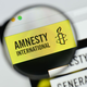 Amnesty International svari pred spodkopavanjem mednarodnega prava