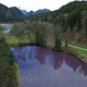 Bakterije na delu: jezerce na bavarskem se je obarvalo vijolično