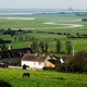 Francoski parlament: Krave lahko še naprej mukajo ponoči