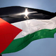 Vlada bo na seji obravnavala priznanje Palestine
