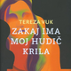 Tereza Vuk: Zakaj ima moj hudič krila