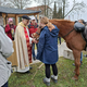 Po Sloveniji konji tradicionalno prejeli blagoslov