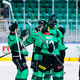 Ob 16.00: Olimpija − Ferencvaros