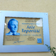 Slavistični kongres v Brežicah povezal jezik, književnost in sodoben pouk slovenščine