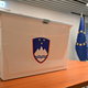 Mesec ob oddaji glasu na referendumih: Vladi je treba postaviti mejo