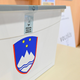 Pred začetkom volilne kampanje število županskih kandidatur strmo raste