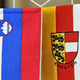 Kritike Enotne liste, da je na deželni ravni nedejavna in da nudi premalo podpore